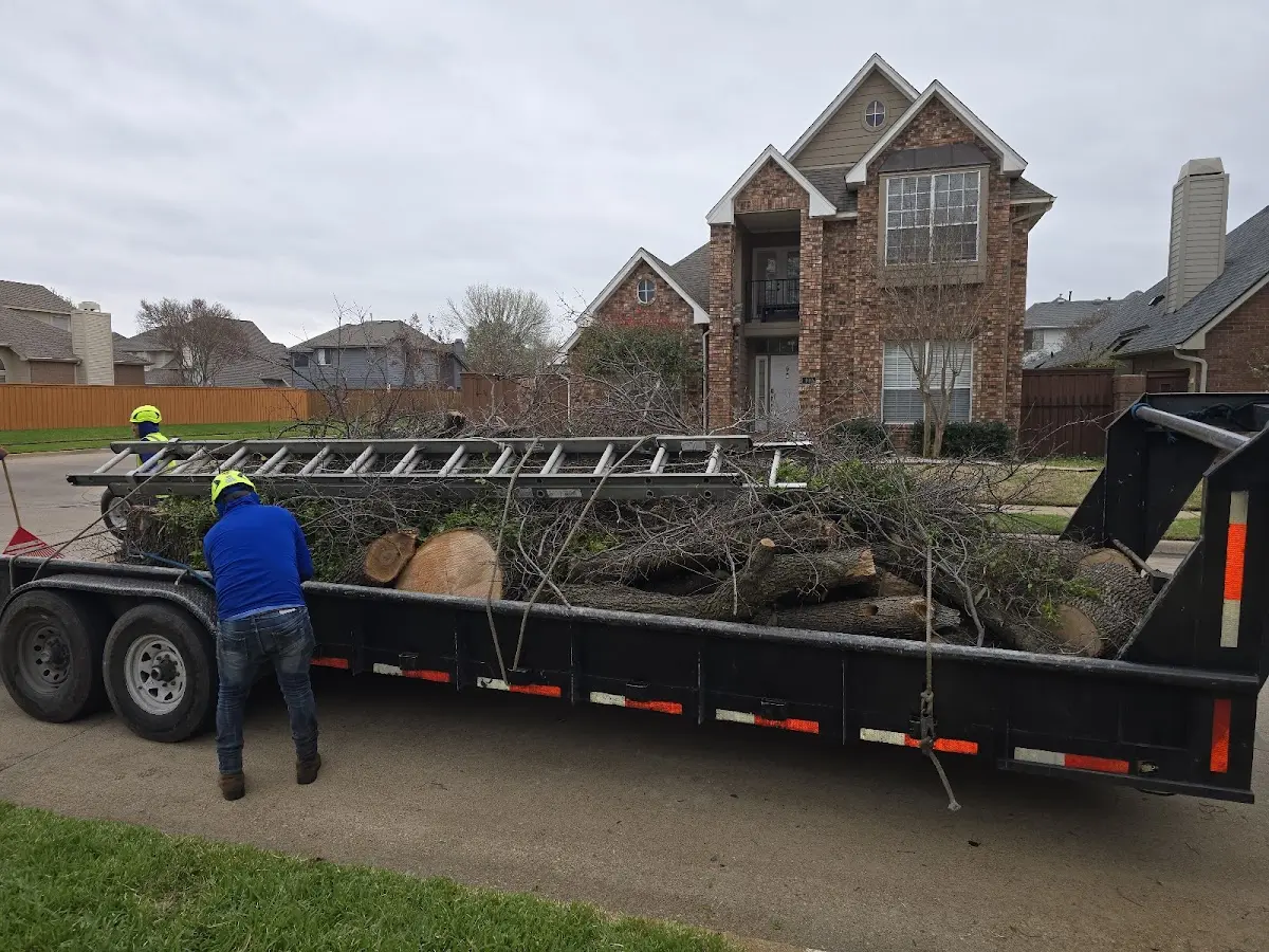 Expert Tree Removal with proper safety equipment in Kasson